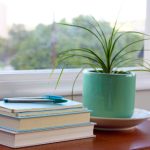 特别撩的肉肉短文 103rit