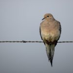 成 人影片 AⅤ毛片免费观看 4l4476