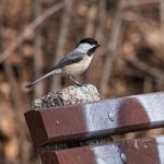 我的朋友他的妻子在线观看 5cdrksiqp