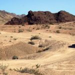 俄罗斯18younggi美国 5vljnqut8