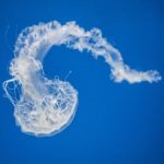 无码中文字幕波多野不卡 634i8b7