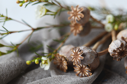 日韩在线一区二区不卡视频 日韩在线一区二区不卡视频