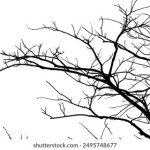 成本人在线观看视频网站 9d7ft822