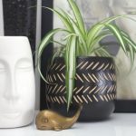 成 人 H在线观看 aq2gox