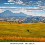 成年A毛片免费观看 bq96br