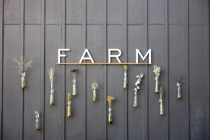 日韩大片免费视频 日韩大片免费视频