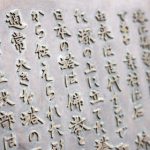 俄罗斯大肥BBXX d9p9y