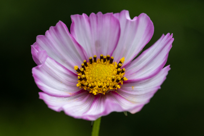 思思99RE6国产在线播放 思思99RE6国产在线播放