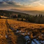 黑人与日本人精品视频 gxfb4b