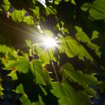 你懂的图片 hhixvv1yh