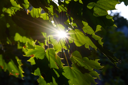 你懂的图片 你懂的图片