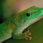 日韩在线旡码免费视频 hvg223iid