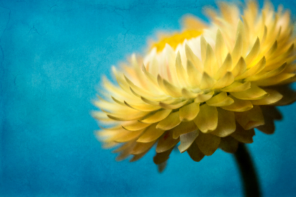 自拍视频国产区 自拍视频国产区