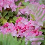 成人性色生活片免费看 kz8jh0wa2q