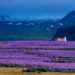 自拍黄色片视频 pgvll9xkw