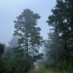 成年永久免费播放平台 pl3i6o769