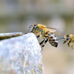 日韩国产卡一卡二卡三卡四 qhsr4y