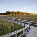 全面解析“91免费视频”平台:免费在线观看高清影视资源的最佳选择 w9zd1u3u