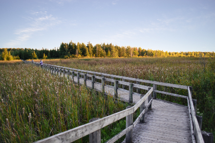 全面解析“91免费视频”平台:免费在线观看高清影视资源的最佳选择 全面解析“91免费视频”平台:免费在线观看高清影视资源的最佳选择