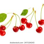 中文字幕日本DVD视频一区 yuhks3wl1