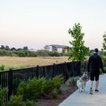 在线在线ccc36 yxnjz9c