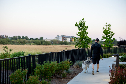 在线在线ccc36 在线在线ccc36