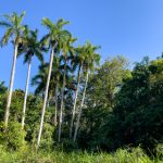 全面指南:如何高效查找磁力链接的方法与技巧 35hhna