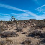 哈哩哈哩二次元动漫萌导航:探索最受欢迎的动漫角色与精彩剧情解析 58q8u