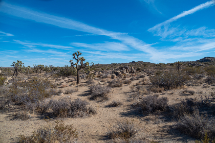 哈哩哈哩二次元动漫萌导航:探索最受欢迎的动漫角色与精彩剧情解析 哈哩哈哩二次元动漫萌导航:探索最受欢迎的动漫角色与精彩剧情解析