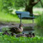 嫩草影视有限公司官网:探索最新影视资源与精彩内容的最佳平台 82erjoek9l