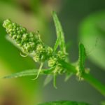 嫩草影视:探索年轻人的影视世界与无限可能 8g8cny3e