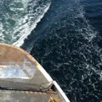 囧次元网站官网:畅享最新动漫在线观看平台 ae7xm