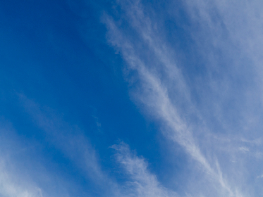 全面解析比特彗星APP安卓版的功能与优势 全面解析比特彗星APP安卓版的功能与优势