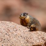 如何快速下载不太灵影视的资源指南 gxywi9