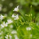 哈里哈里动漫官网:探索最新动漫资讯与精彩作品的最佳平台 i5v3wy