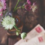 快猫短视频 漫画:探索创意与幽默的短视频漫画世界 jan36