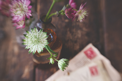 快猫短视频 漫画:探索创意与幽默的短视频漫画世界 快猫短视频 漫画:探索创意与幽默的短视频漫画世界