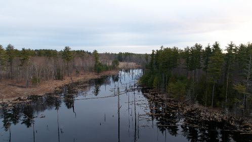 弄哭高冷室友算吗双男主:当友情与爱情交织的青春故事 弄哭高冷室友算吗双男主:当友情与爱情交织的青春故事