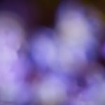 sykes work from home website:探索灵活就业机会,开启你的居家工作之旅 yaim2mrpo