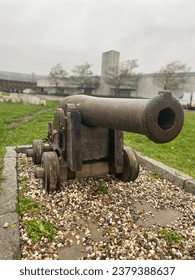 《骨语》百度云:探索神秘骨骼背后的故事与真相 《骨语》百度云:探索神秘骨骼背后的故事与真相