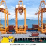 探索G点网站永久在线观看的精彩内容与体验 3a9x7dqh