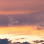 探索绅士之庭网站内容:优雅生活与品位的完美结合 maj52dk