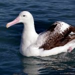 探索novipnoadd:解密其背后的意义与应用 nu877d4n