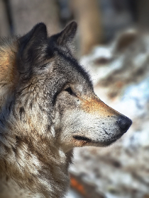 探索JMComic1.66:最新漫画更新与精彩内容解析 探索JMComic1.66:最新漫画更新与精彩内容解析