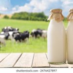 探索360导航:一个主页带你游遍整个世界的网站 qrxwz8n5c