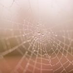 我的狐仙女友漫画全集:奇幻爱情与灵异冒险的完美结合 z5lxz